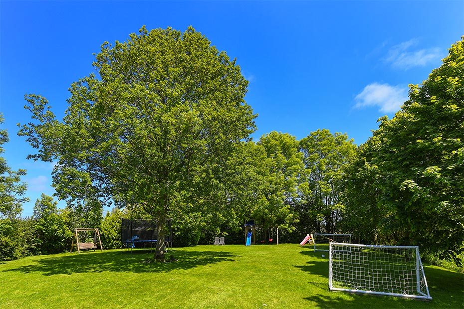 Foto aus der Fotogruppe 